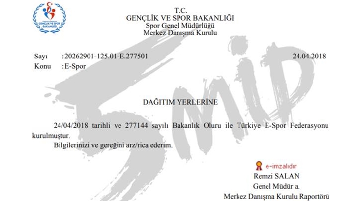 Turkiye ESpor Federasyonu kuruluş belgesi